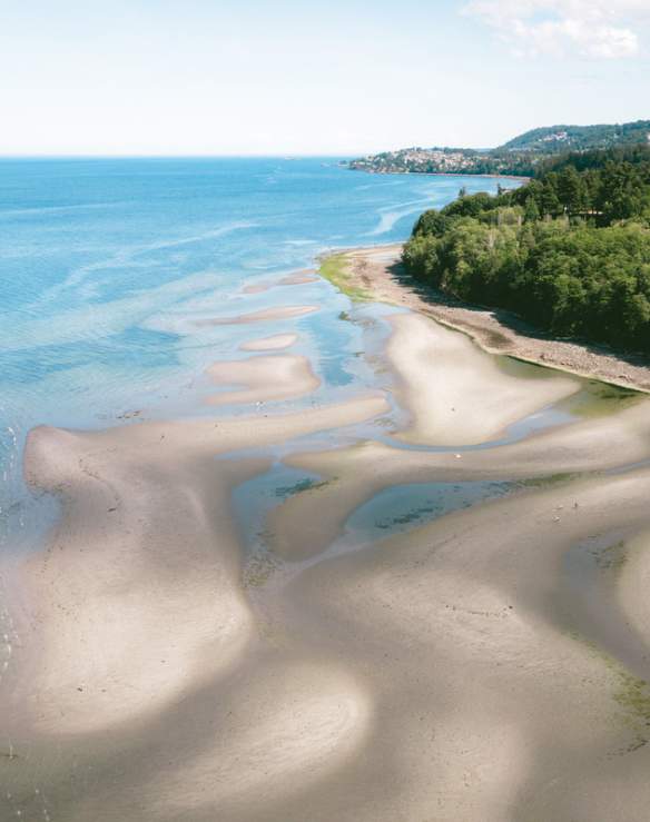 Ariel Photo of Blueback Beach when the tide is low, and the beach is full of soft sand.