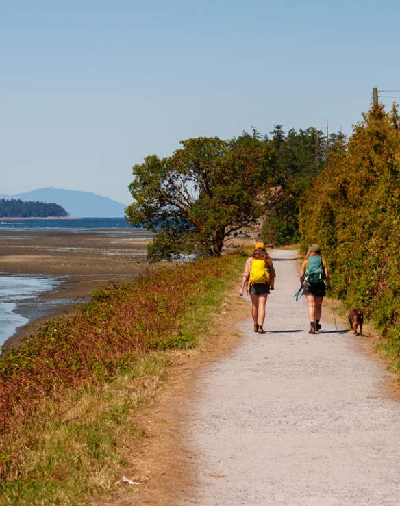 Two people walking a dog on a path along the water.