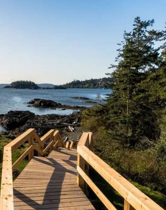 A wooden path leading towards the ocean.