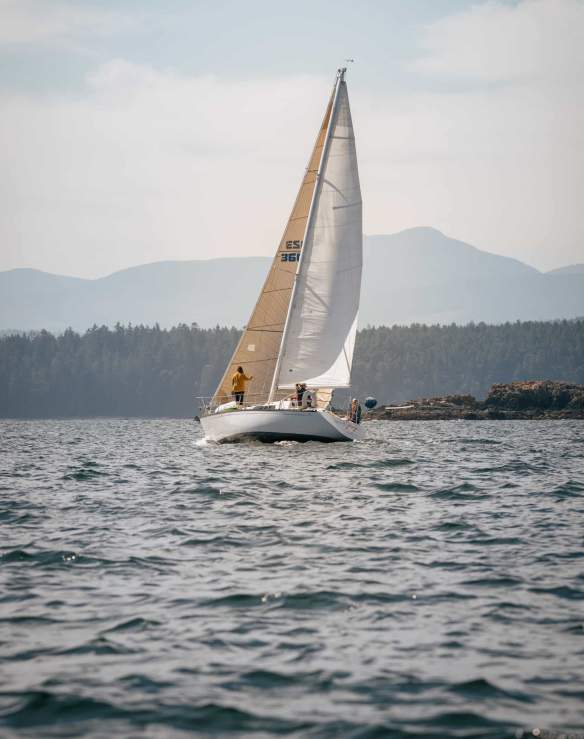 A sailboat at sea.