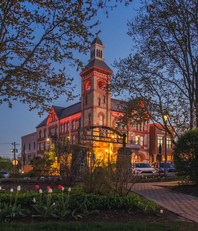 Opera House at dusk with tulips