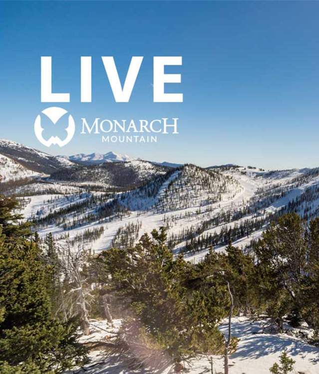 Monarch Live