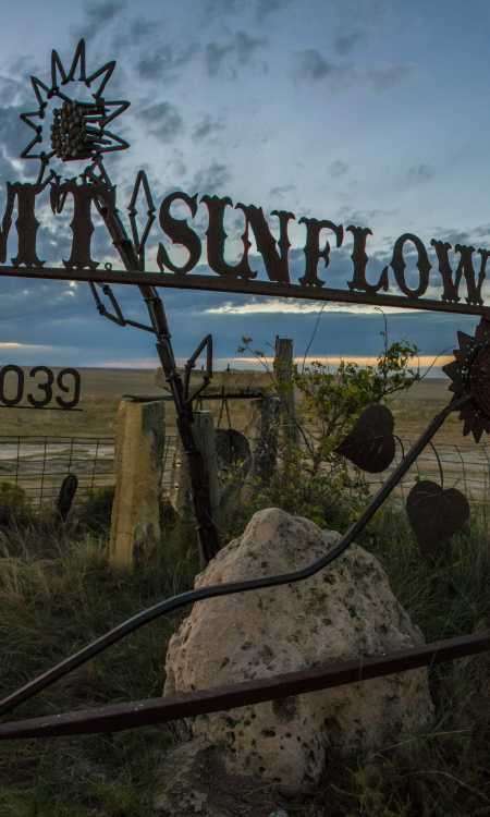 Mount Sunflower