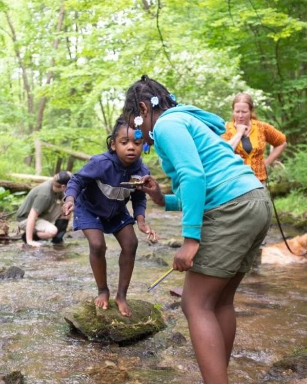 Two children explore a shallow woodland creek, standing on rocks and examining something they found in the water. Nearby, an adult supervises while another person searches along the streambed, and a dog relaxes in the creek. Lush green trees and vegetation surround the natural setting.