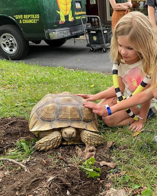 Two little girls squat to pet a turtle at a Berks County Parks & Recreation event at Gring's Mill.