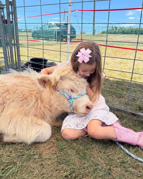 Girl wearing pink cowgirl boots and a pink bow in her hair snuggles up to a tan highland cow at Swartz Farm.