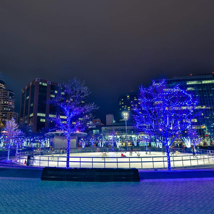 Holiday Lights & Ice Skating Downtown