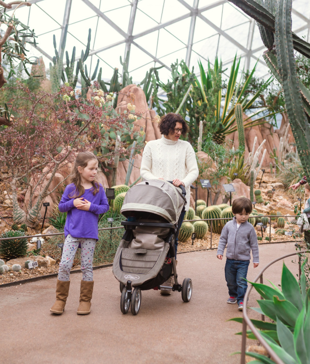 A family walking through the Mitchell Park Domes admiring the flora.