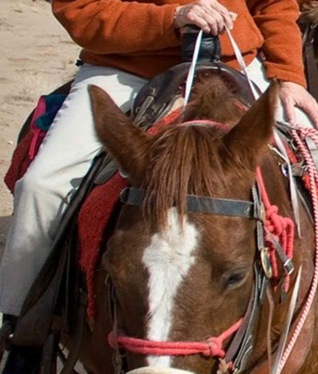 horseback riding
