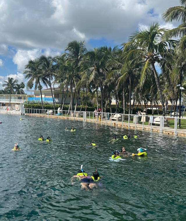 A group of young individuals snorkeling in calm water in Wahoo Bay on a sunny day with a few puffy clouds.