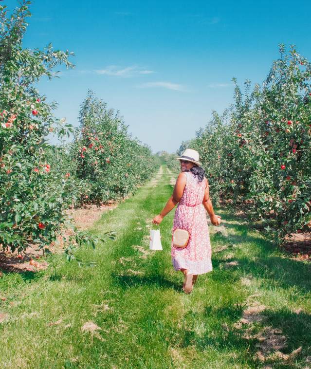 Cheryl Apples