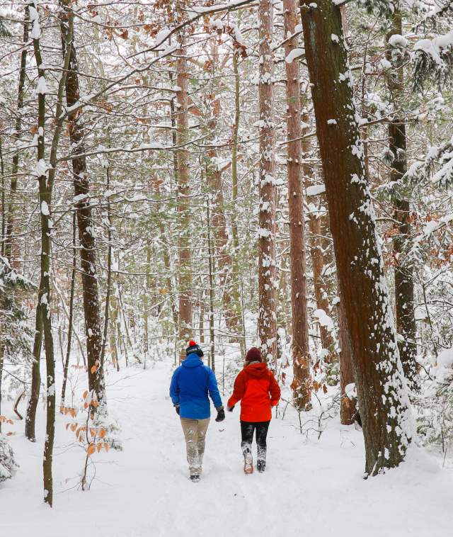 Couple hiking in the snow in the woods