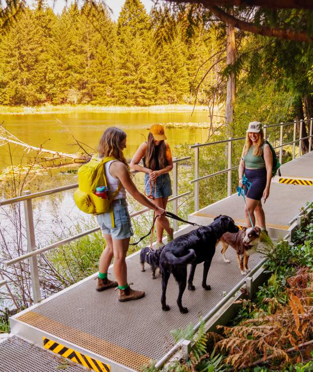 Tourism Nanaimo - August 2025 - Cottle Lake - Photos by Justin Parsons @NaturalSupernatural - 10.jpg