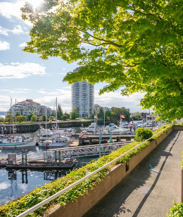 A sunny view of Nanaimo Harbour with boats in the marina, waterfront buildings in the distance, and a tree-lined walkway overlooking the water.