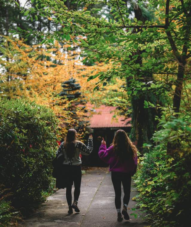 Two people stroll along a lush, tree-lined path with vibrant autumn foliage, heading toward a small building ahead.