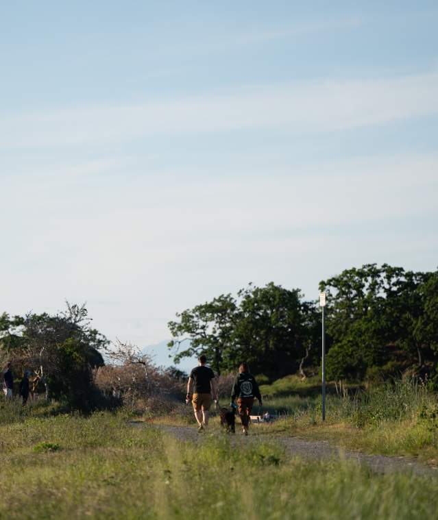 Two people walk a dog along a sunlit trail surrounded by grass and trees, with others visible in the distance.