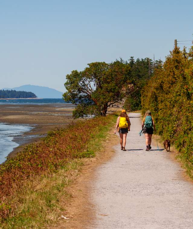 Two people walking a dog on a path along the water.