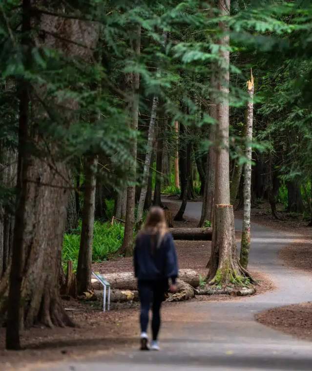 A person walking through a forest on a paved trail.