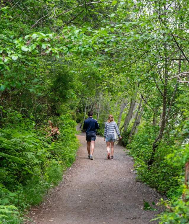 Two people waking on a gravel path through a forest.