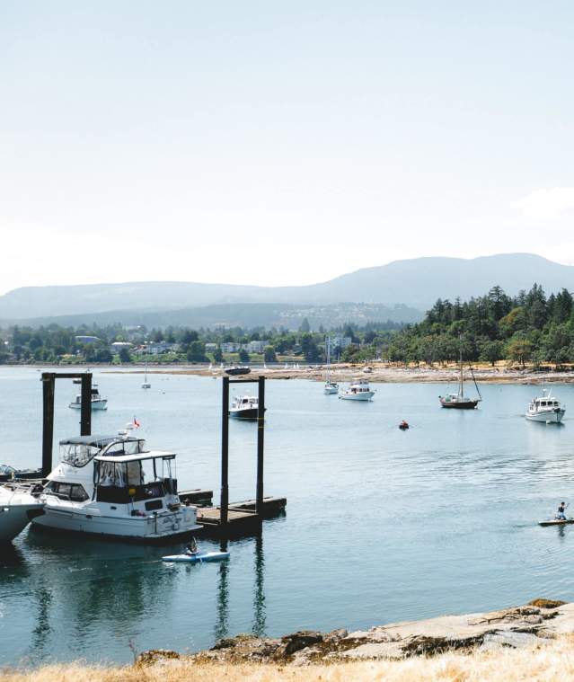 Boats at harbour.