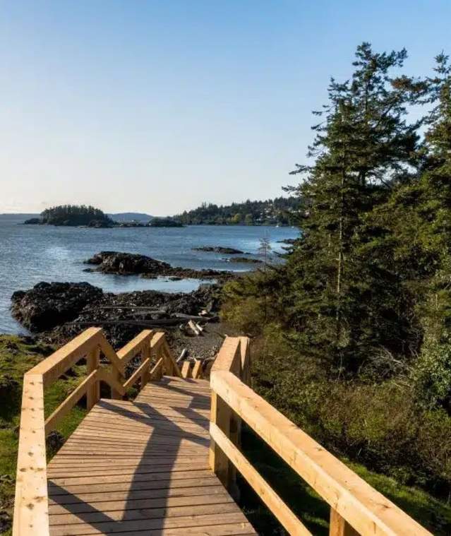 A wooden path leading towards the ocean.