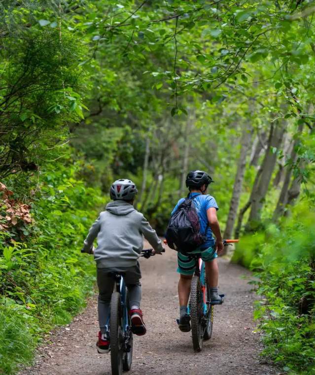 Two people biking on a gravel trail in a forest.
