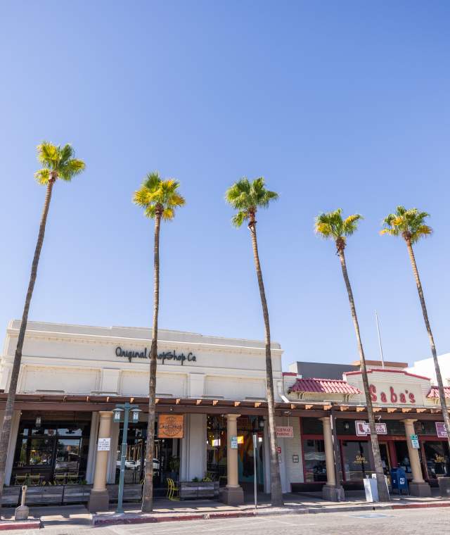 Downtown Chandler shop store fronts with palm trees in front.