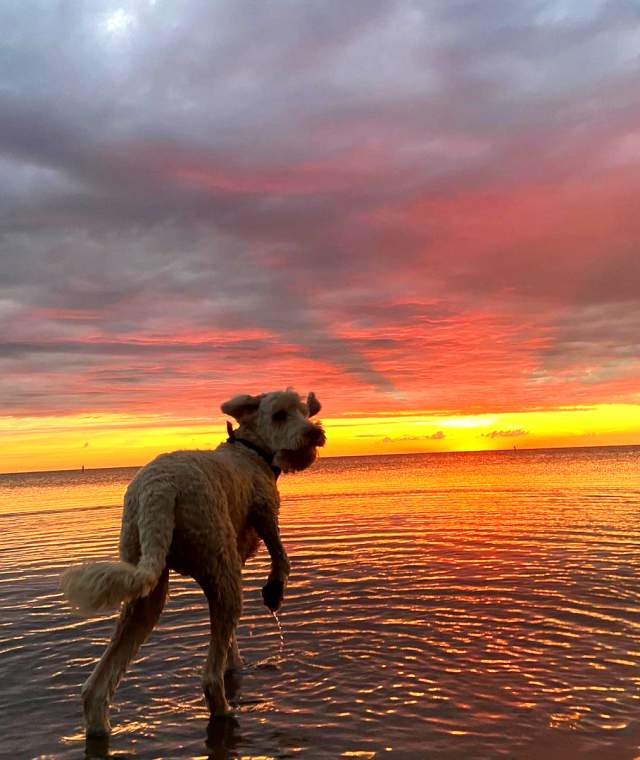 PetFriendly Lake Erie Shores & Islands Ohio