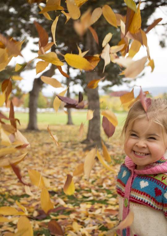 Fall Leaves