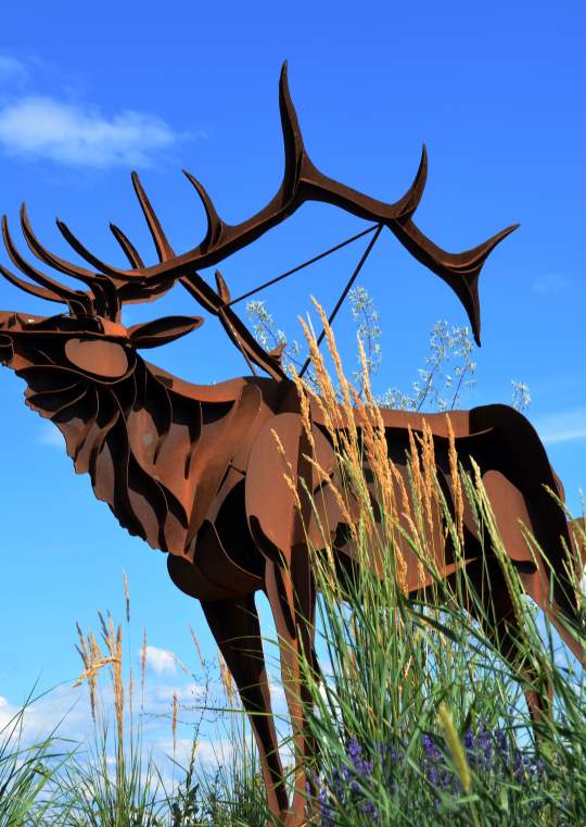 Elk Sculpture by Smoker Marchand in Westbank First Nation near Kelowna, BC