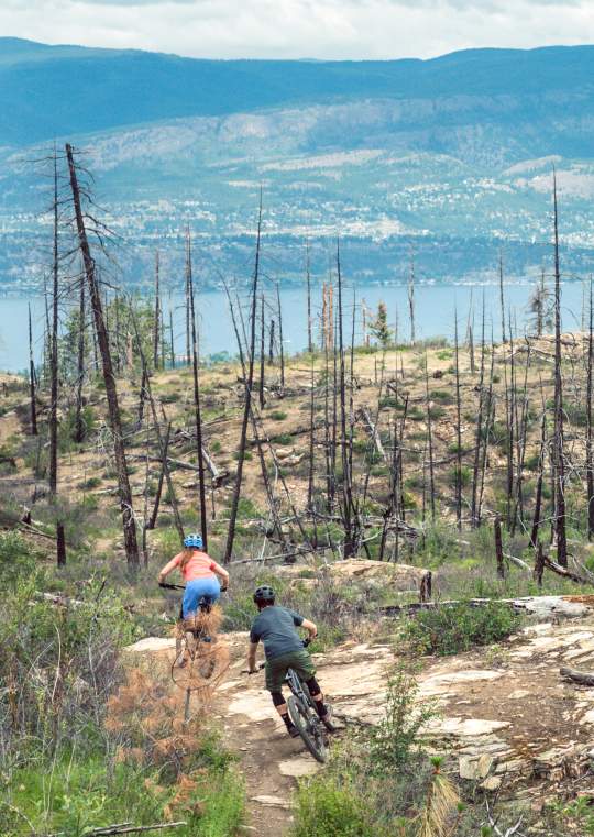 Mountain Biking Crawford Trails (Myra Bellevue Park) (2)