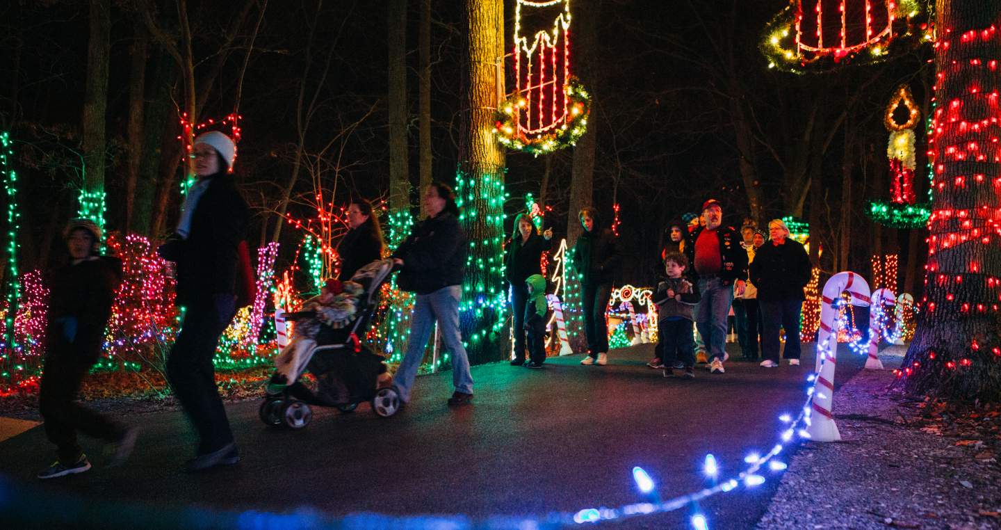 Christmas Magic stroll