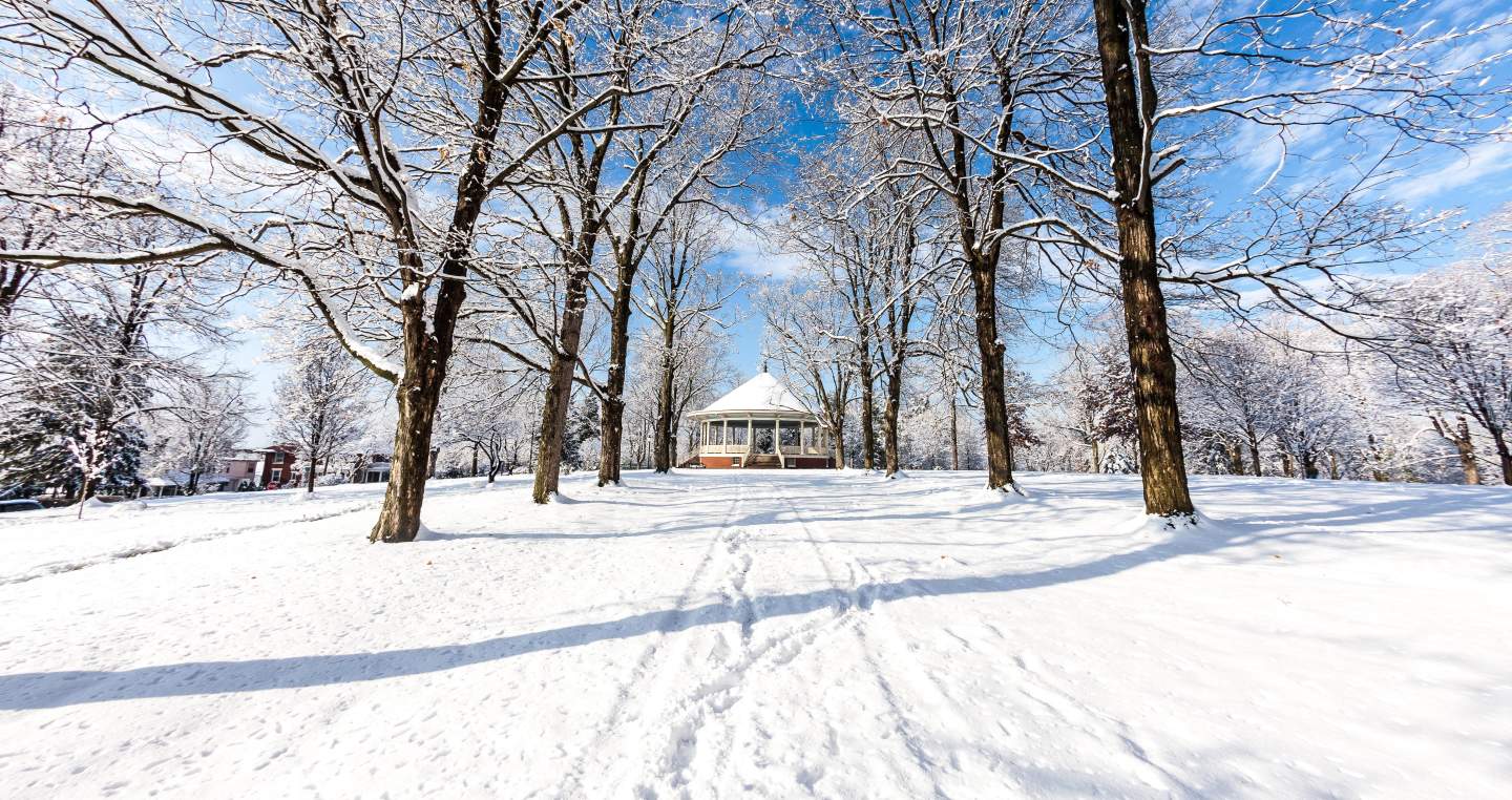 Pavilion In Winter
