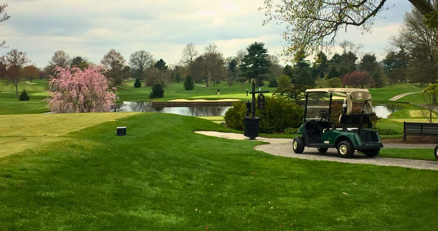 Golf course in the springtime