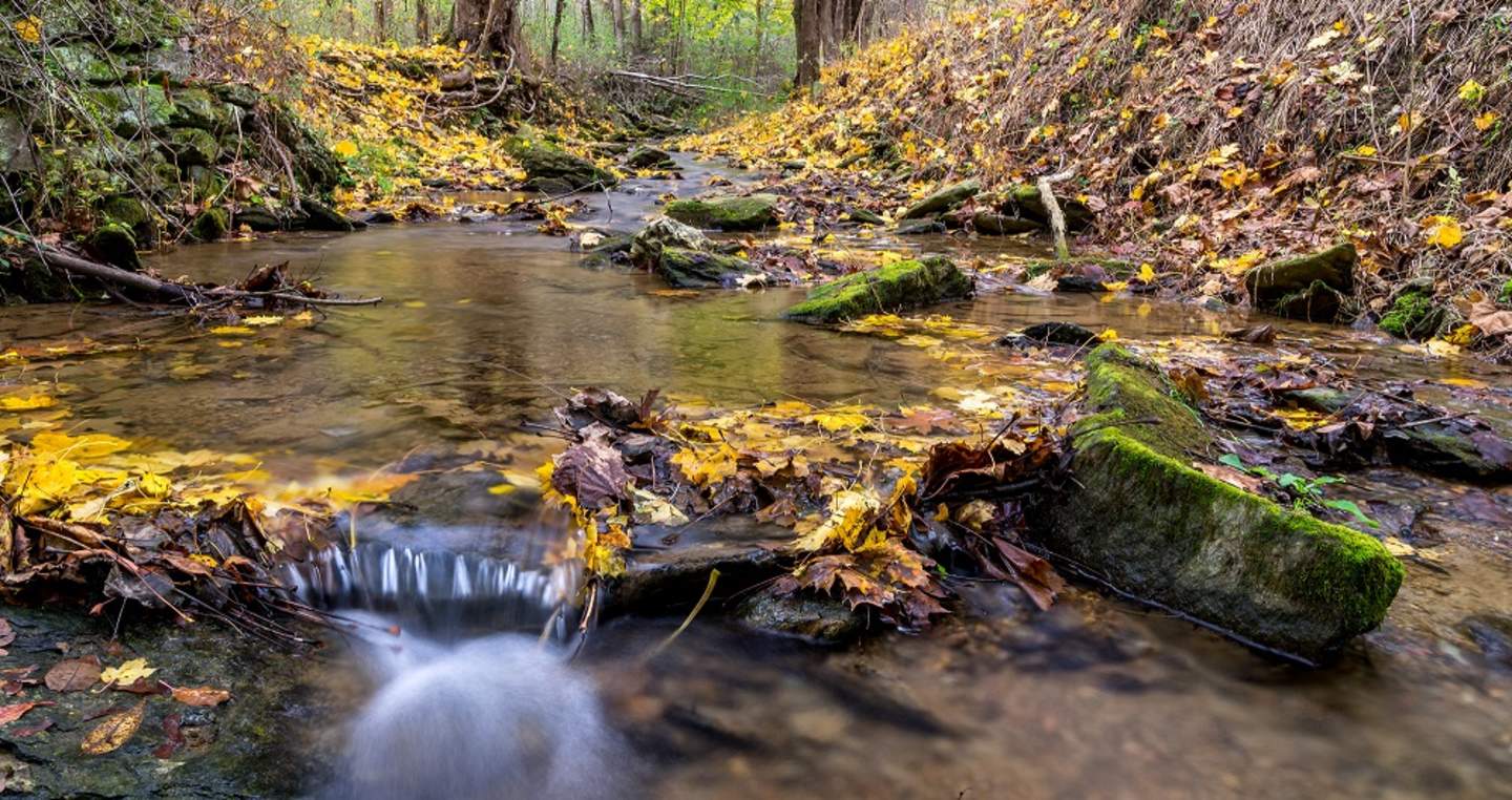 Spring Valley County Park