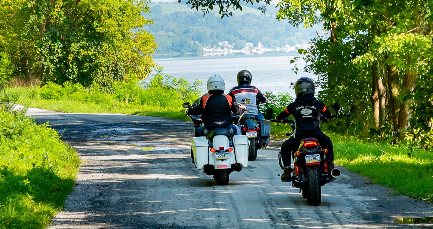 Harley river drive