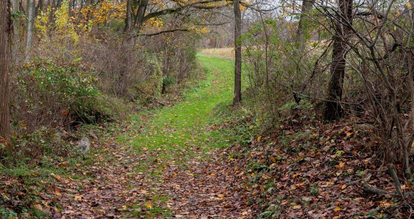 P. Joseph Raab Park