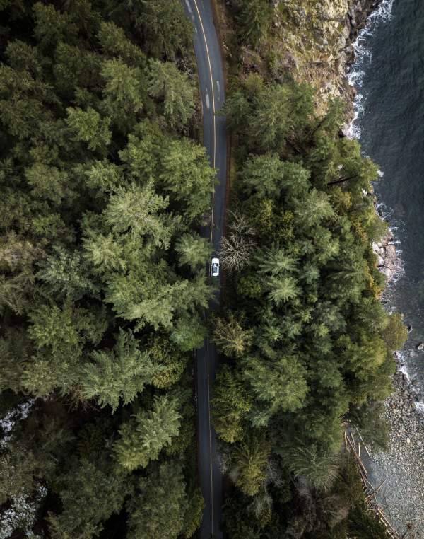 An aerial view of a car driving along a forested road next to the ocean.