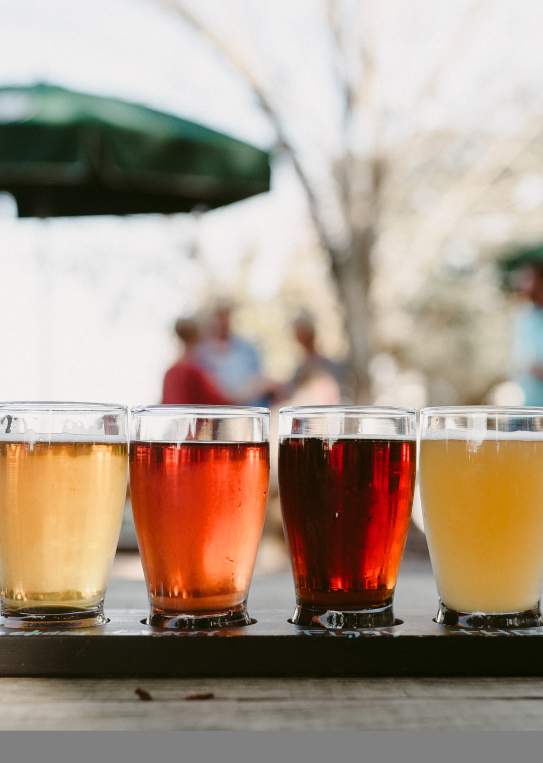 Bayou Teche Brewing Beers On Display