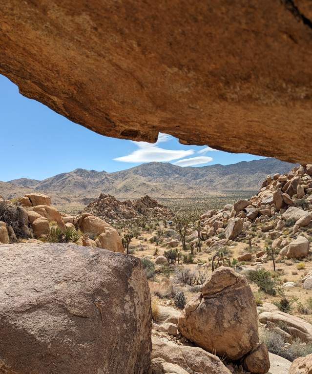 Discover California's Mojave Desert