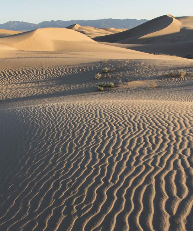 Visit 29 Palms California Discover Cadiz Dunes Wilderness in Mojave Trails National Monument