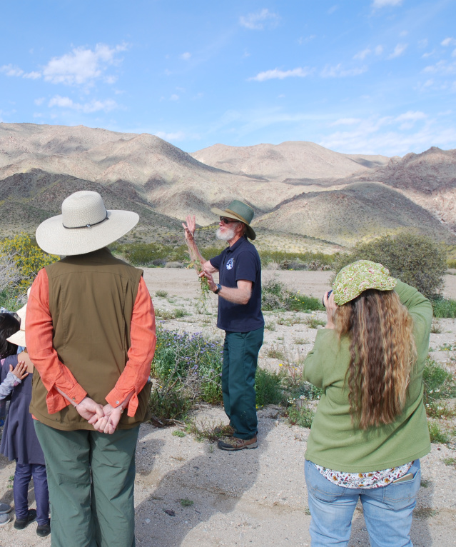 29 Palms Events - Wildflower Discovery Day