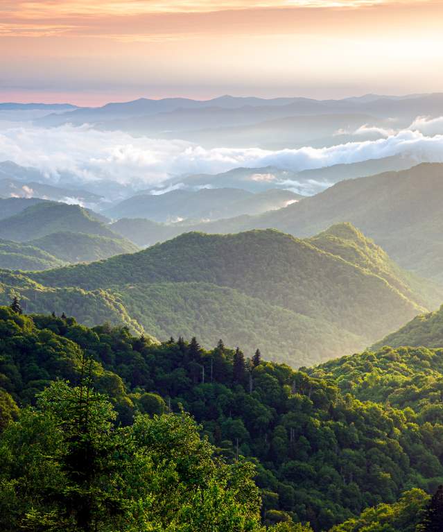 Woolyback Overlook