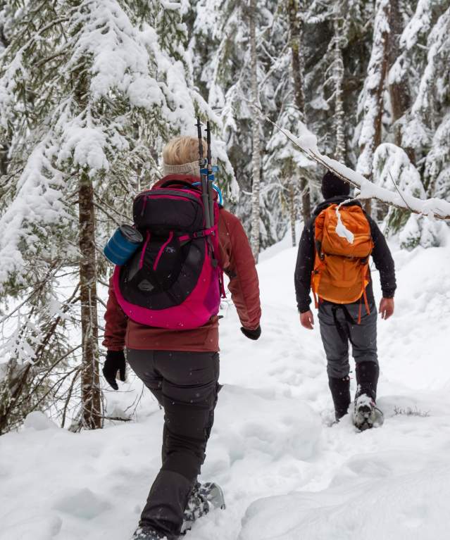 Snowshoe