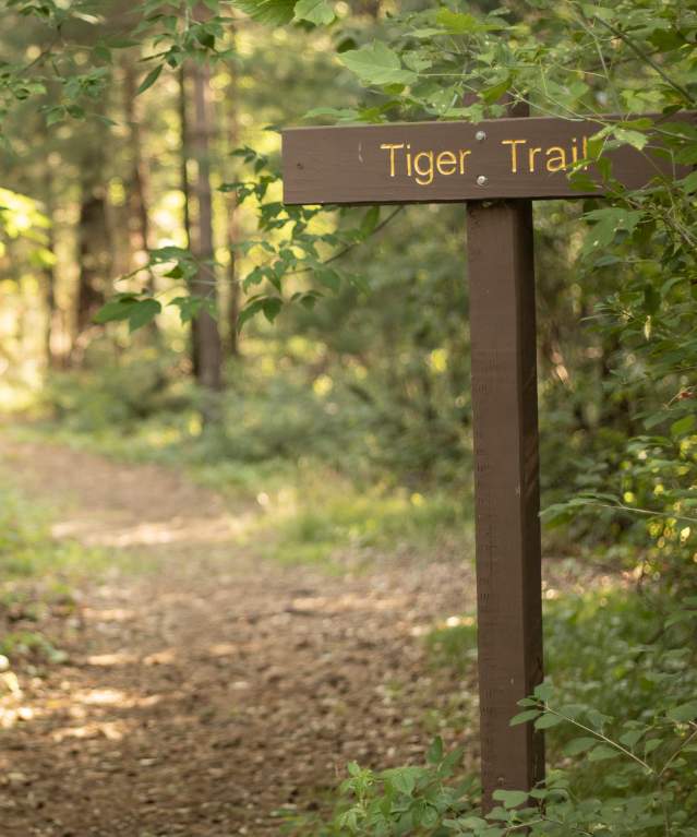 Little Plover River Park