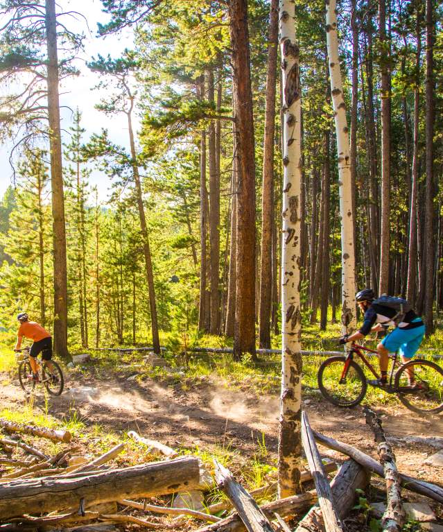 Friends Mountain Biking Through Casper Forest