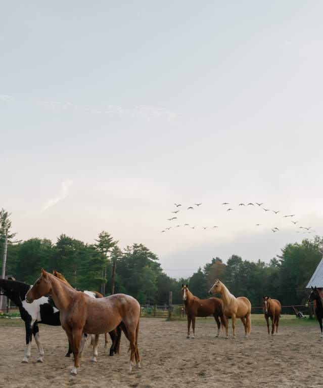 1000 Acres Ranch