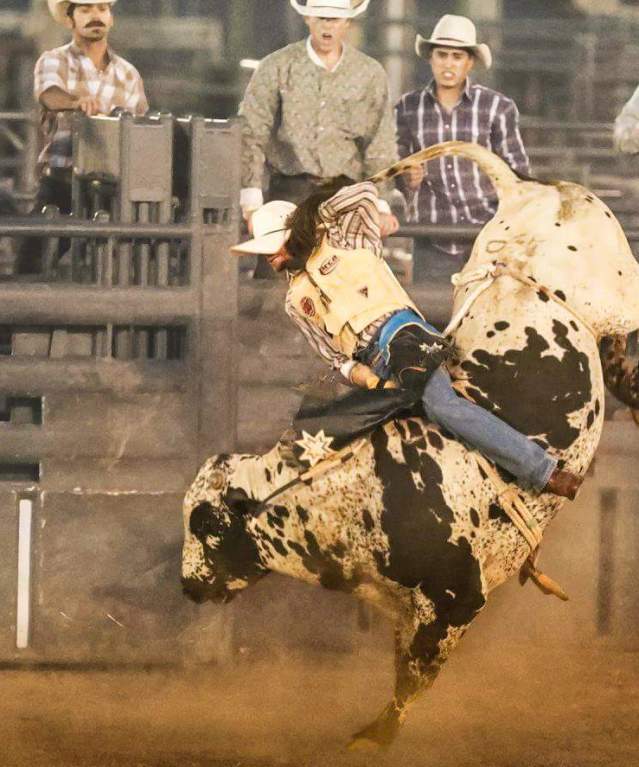 Tribute to the Great American Cowboy
