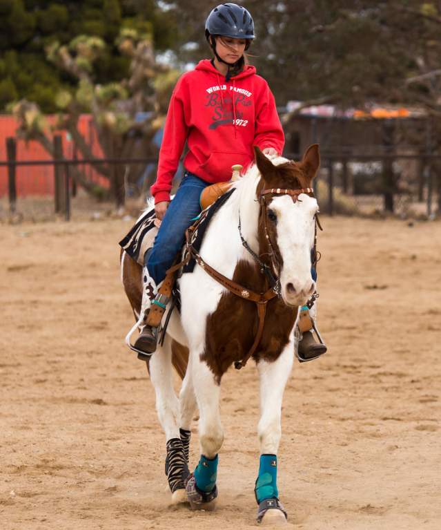 Horseback Riding