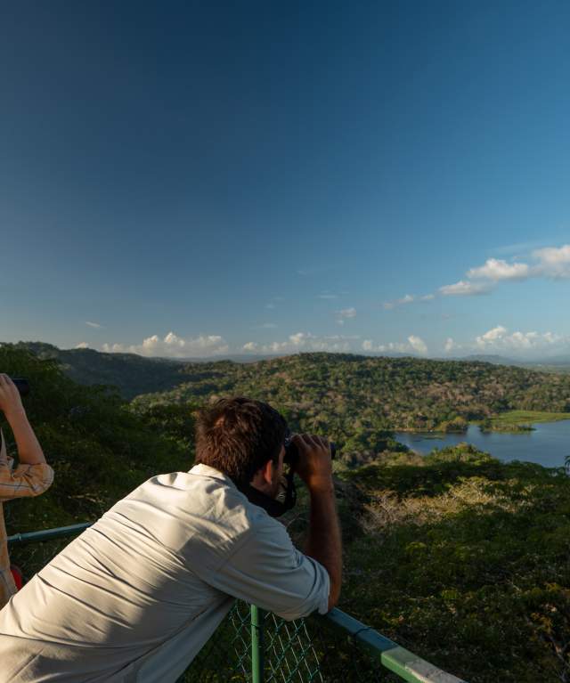 Tour operator at Birdwatching tower in Gamboa Rainforest Reserve, Panama City